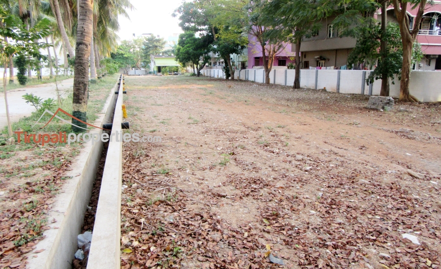 TUDA & RERA Approved #GatedCommunity East & West Facing #PlotsforSale Near Padmavathi Kalyanamandapam, #Tirupati